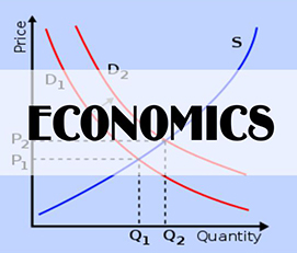 A picture of big demand and supply graph symbolizing best economics tuition in delhi and ncr